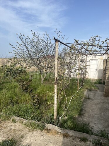 3 otaqlı həyət evi/bağ evi - Dübəndi q. - 100 m² (21)