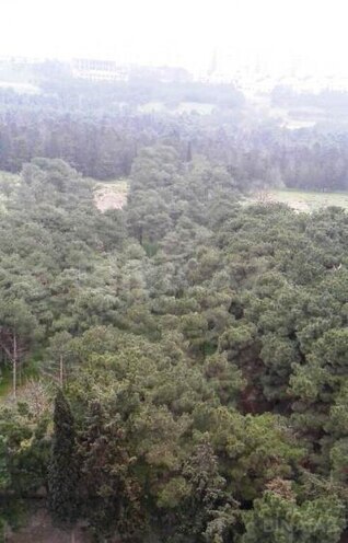 3 otaqlı köhnə tikili - Bakıxanov q. - 67 m² (1)