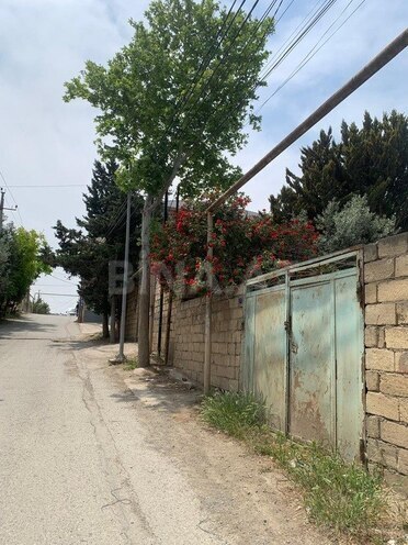 Torpaq - Masazır q. - 5 sot (10)