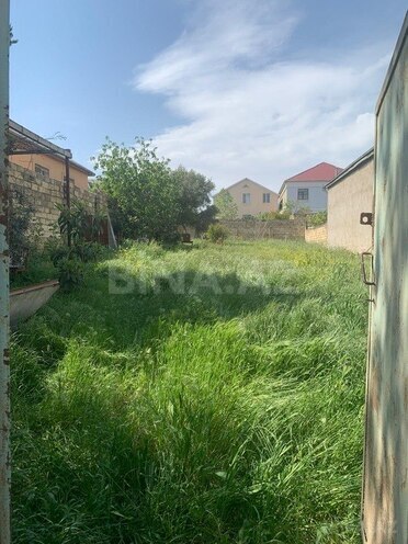 Torpaq - Masazır q. - 5 sot (17)