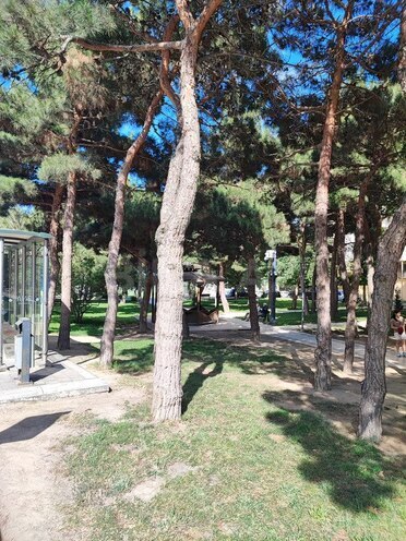 2 otaqlı köhnə tikili - Memar Əcəmi m. - 45 m² (14)
