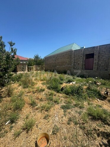 4 otaqlı həyət evi/bağ evi - Qobu q. - 100 m² (2)