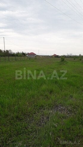 Участок - Габала - 87 сот (1)