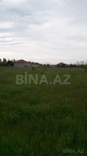 Участок - Габала - 87 сот (6)
