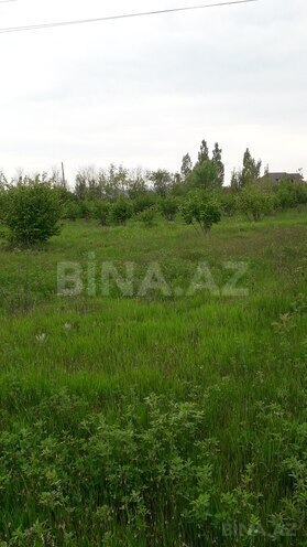 Участок - Габала - 87 сот (3)