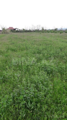 Участок - Габала - 87 сот (4)