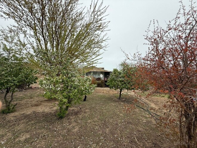 6 otaqlı həyət evi/bağ evi - Sumqayıt - 178 m² (5)