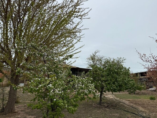 6 otaqlı həyət evi/bağ evi - Sumqayıt - 178 m² (4)