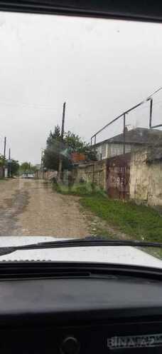 Участок - Губа - 30 сот (2)