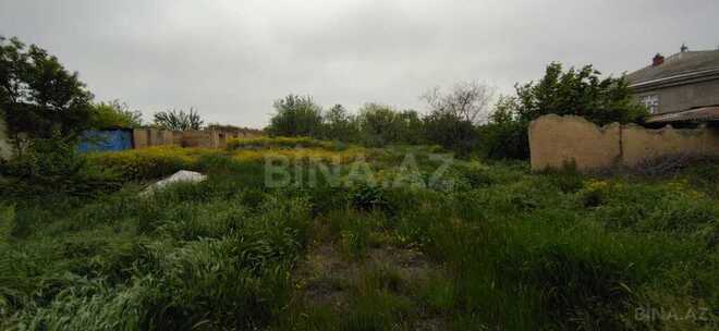 Участок - Губа - 30 сот (10)