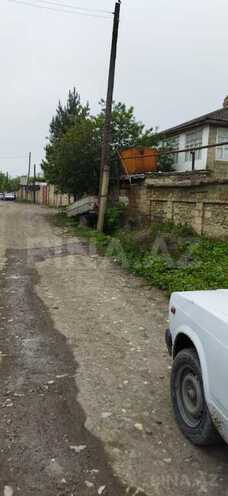 Участок - Губа - 30 сот (4)