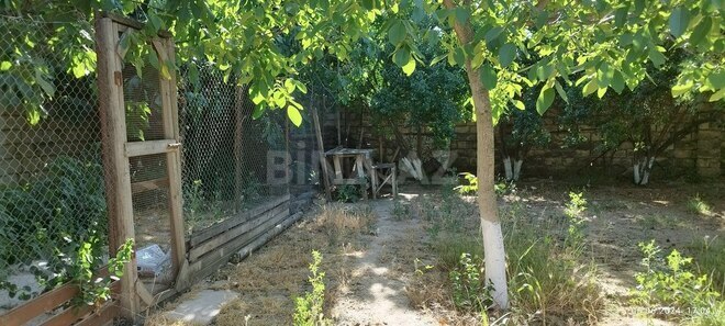 Torpaq - Maştağa q. - 18 sot (8)