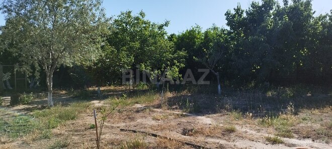 Torpaq - Maştağa q. - 18 sot (2)