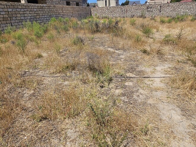 Продаётся  участок 4 сот, пос. Шувеляны, photo 3 from 10