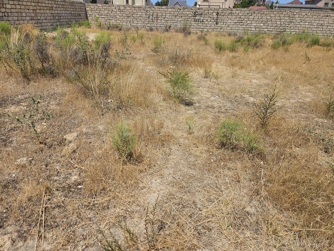 Продаётся  участок 4 сот, пос. Шувеляны, photo 8 from 10