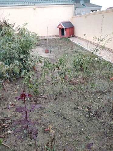 7 otaqlı həyət evi/bağ evi - Badamdar q. - 428 m² (2)