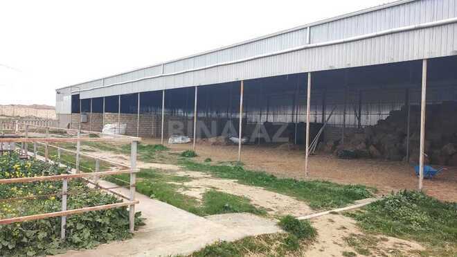 Obyekt - Məmmədli q. - 220 m² (1)
