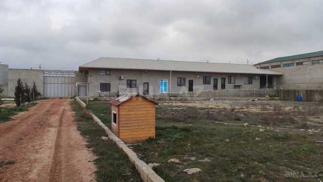 Obyekt - Məmmədli q. - 220 m² (9)