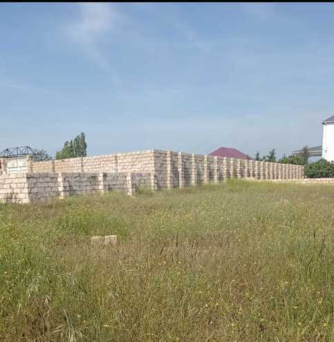 Torpaq - Albalılıq q. - 5 sot (3)