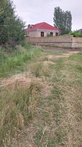 Участок - Товуз - 30 сот (4)