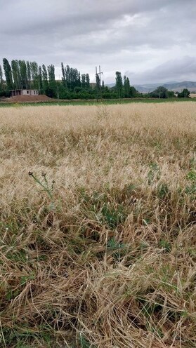 Участок - Товуз - 30 сот (8)