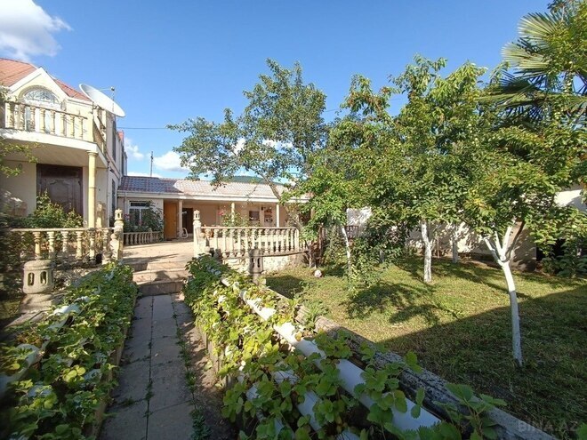 6 otaqlı həyət evi/bağ evi - İsmayıllı - 250 m² (5)