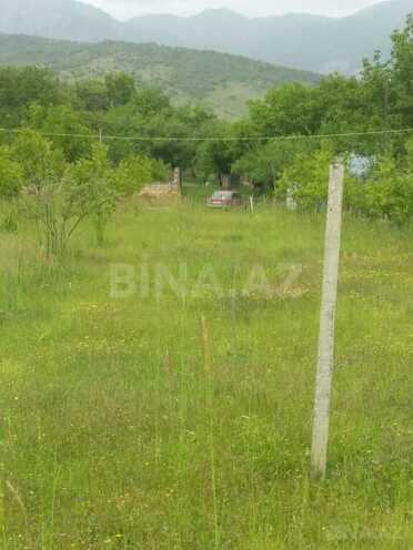 Torpaq - İsmayıllı - 50 sot (2)