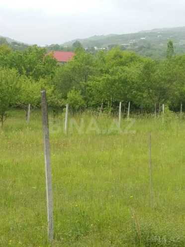 Torpaq - İsmayıllı - 50 sot (4)