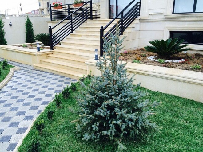 8 otaqlı həyət evi/bağ evi - Badamdar q. - 500 m² (6)
