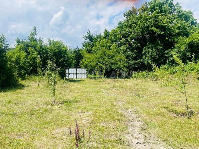 3 otaqlı həyət evi/bağ evi - İsmayıllı - 90 m² (9)