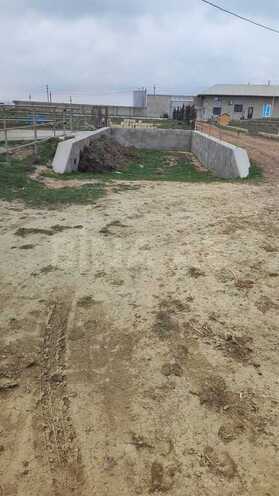 Obyekt - Məmmədli q. - 220 m² (15)