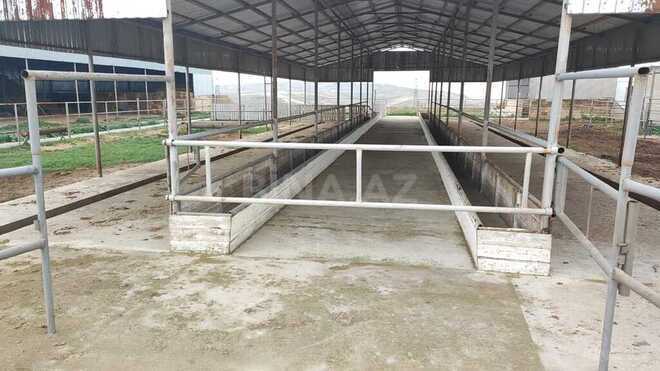Obyekt - Məmmədli q. - 220 m² (13)