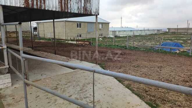 Obyekt - Məmmədli q. - 220 m² (21)