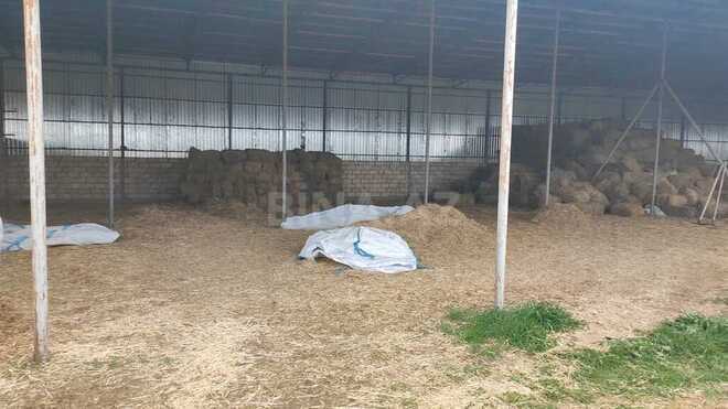 Obyekt - Məmmədli q. - 220 m² (24)