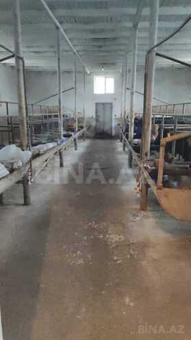 Obyekt - Məmmədli q. - 220 m² (4)