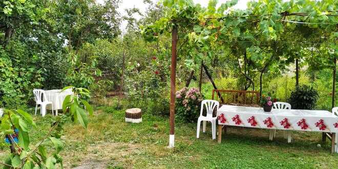 3 otaqlı həyət evi/bağ evi - Quba - 150 m² (1)