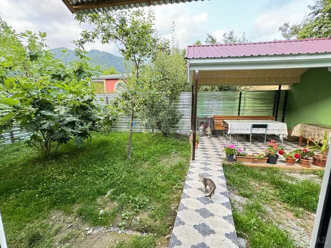 3 otaqlı həyət evi/bağ evi - Qəbələ - 70 m² (15)