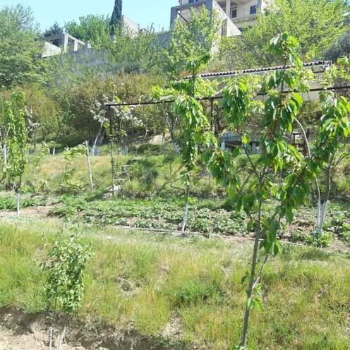 Satılır  torpaq 21 sot, Avtovağzal m., photo 5 from 12