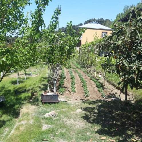 Satılır  torpaq 21 sot, Avtovağzal m., photo 8 from 12