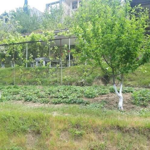 Satılır  torpaq 21 sot, Avtovağzal m., photo 7 from 12