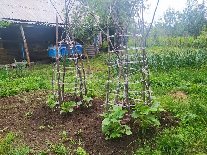 4 otaqlı həyət evi/bağ evi - Gədəbəy - 100 m² (11)