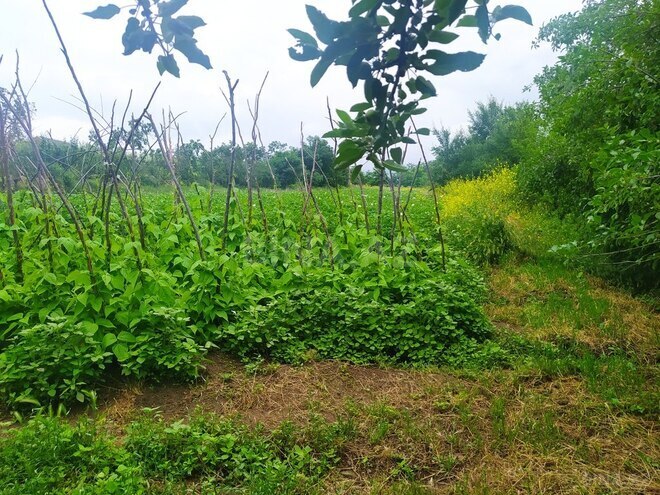 4 otaqlı həyət evi/bağ evi - Gədəbəy - 100 m² (9)