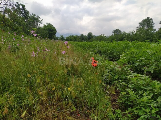 4 otaqlı həyət evi/bağ evi - Gədəbəy - 100 m² (16)