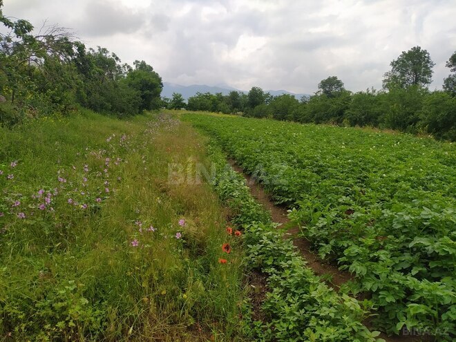 4 otaqlı həyət evi/bağ evi - Gədəbəy - 100 m² (17)