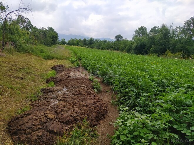4 otaqlı həyət evi/bağ evi - Gədəbəy - 100 m² (18)