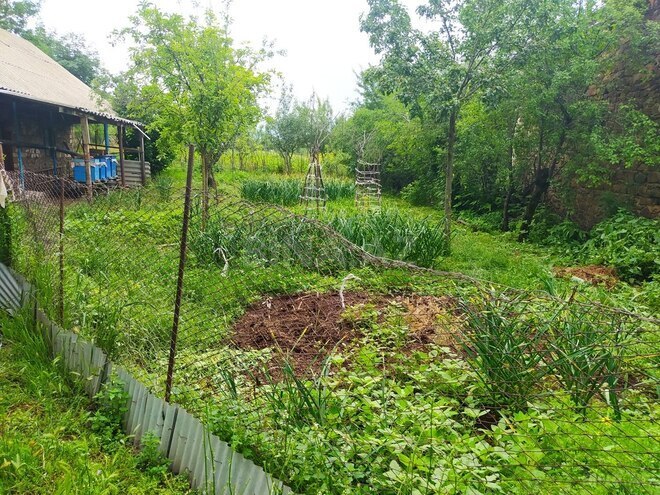 4 otaqlı həyət evi/bağ evi - Gədəbəy - 100 m² (28)