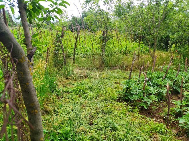 4 otaqlı həyət evi/bağ evi - Gədəbəy - 100 m² (14)