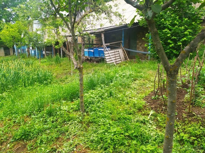 4 otaqlı həyət evi/bağ evi - Gədəbəy - 100 m² (7)
