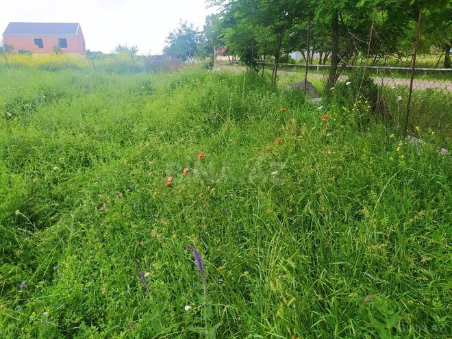 4 otaqlı həyət evi/bağ evi - Gədəbəy - 100 m² (2)