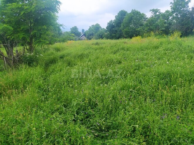 4 otaqlı həyət evi/bağ evi - Gədəbəy - 100 m² (3)